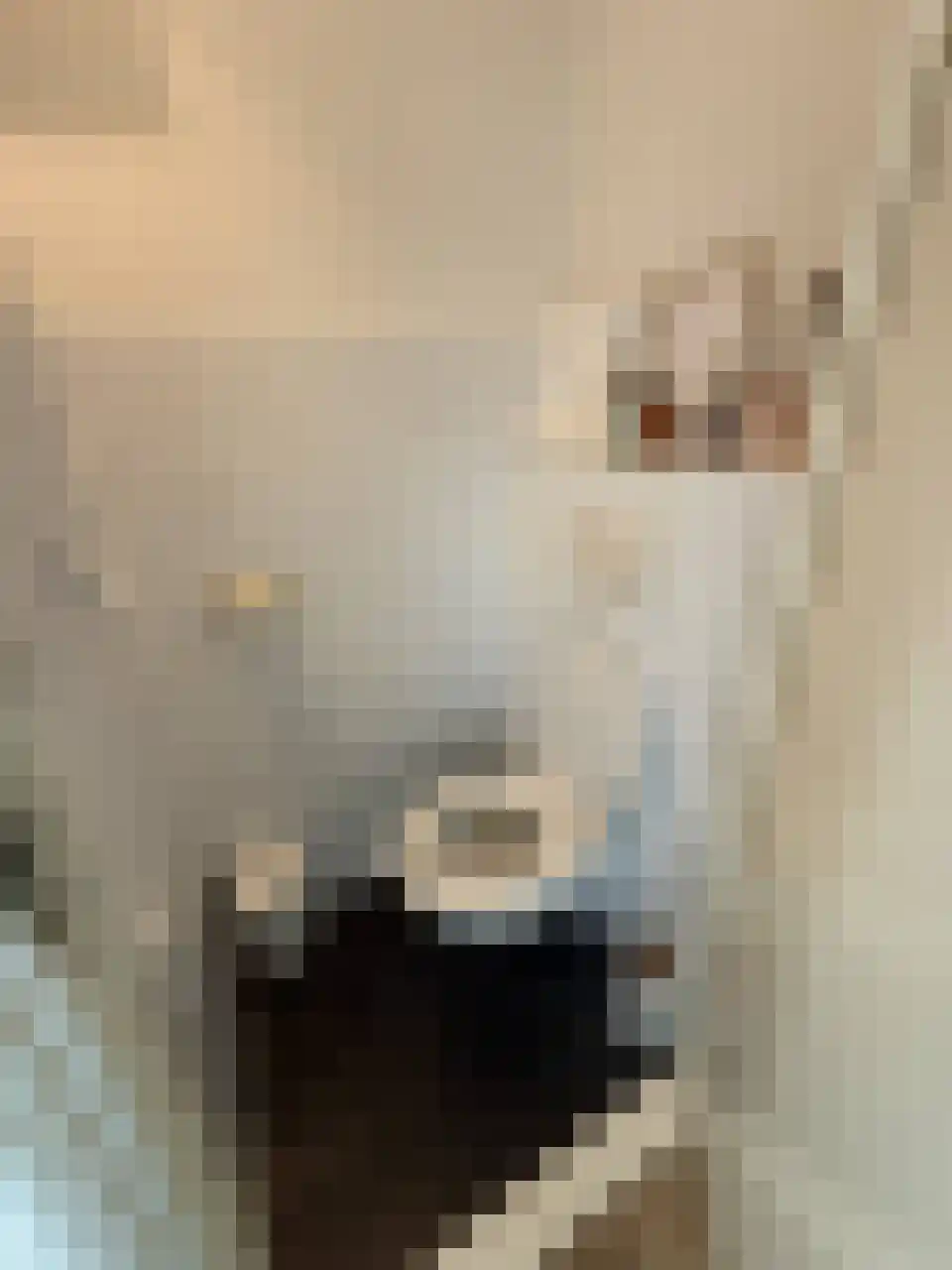 Marijkestraat 20 Zwartsluis thumbnail 13