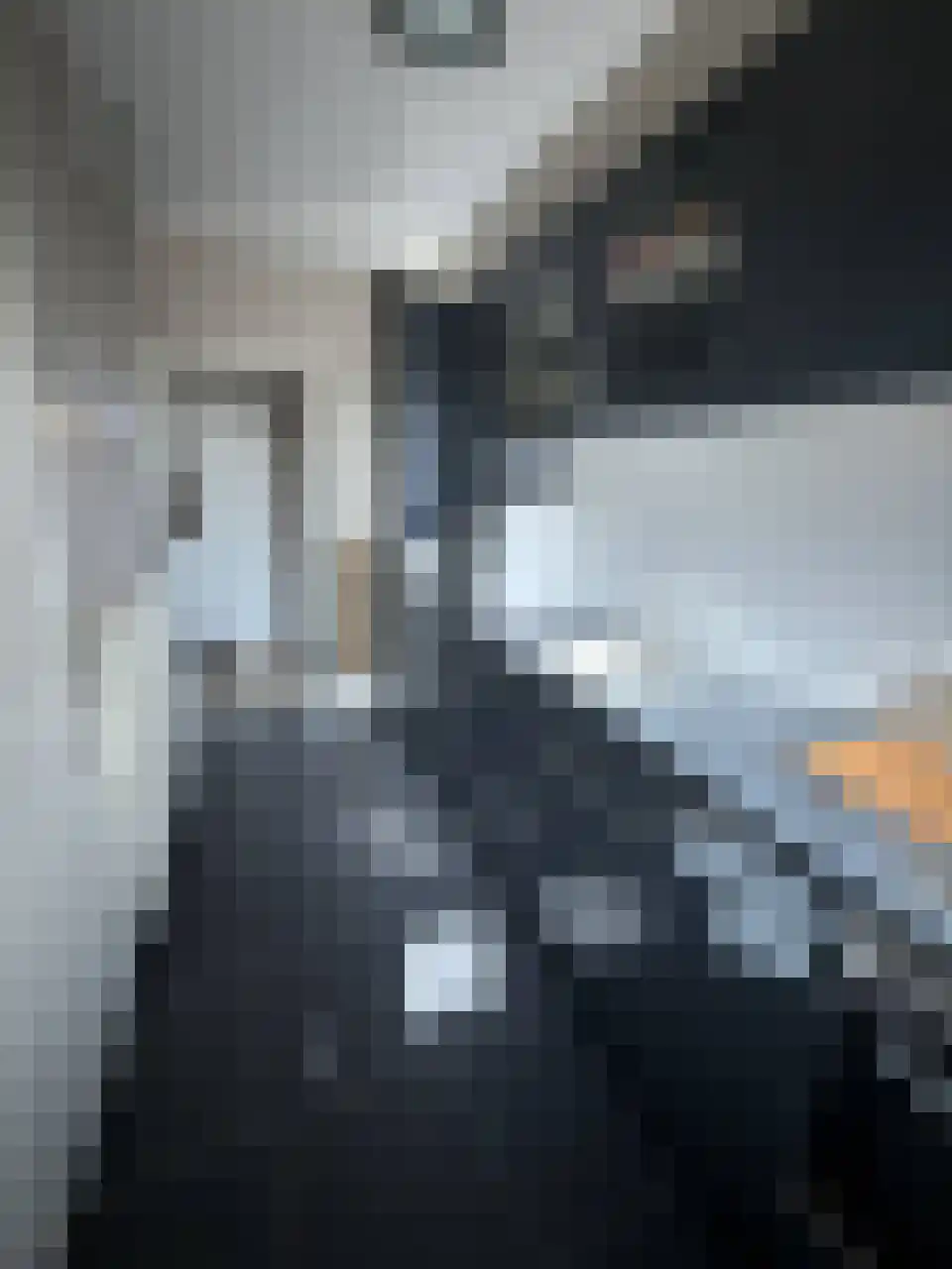 Marijkestraat 20 Zwartsluis thumbnail 15
