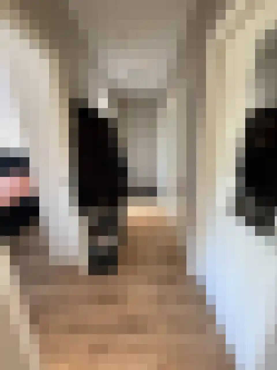 Marijkestraat 20 Zwartsluis thumbnail 6