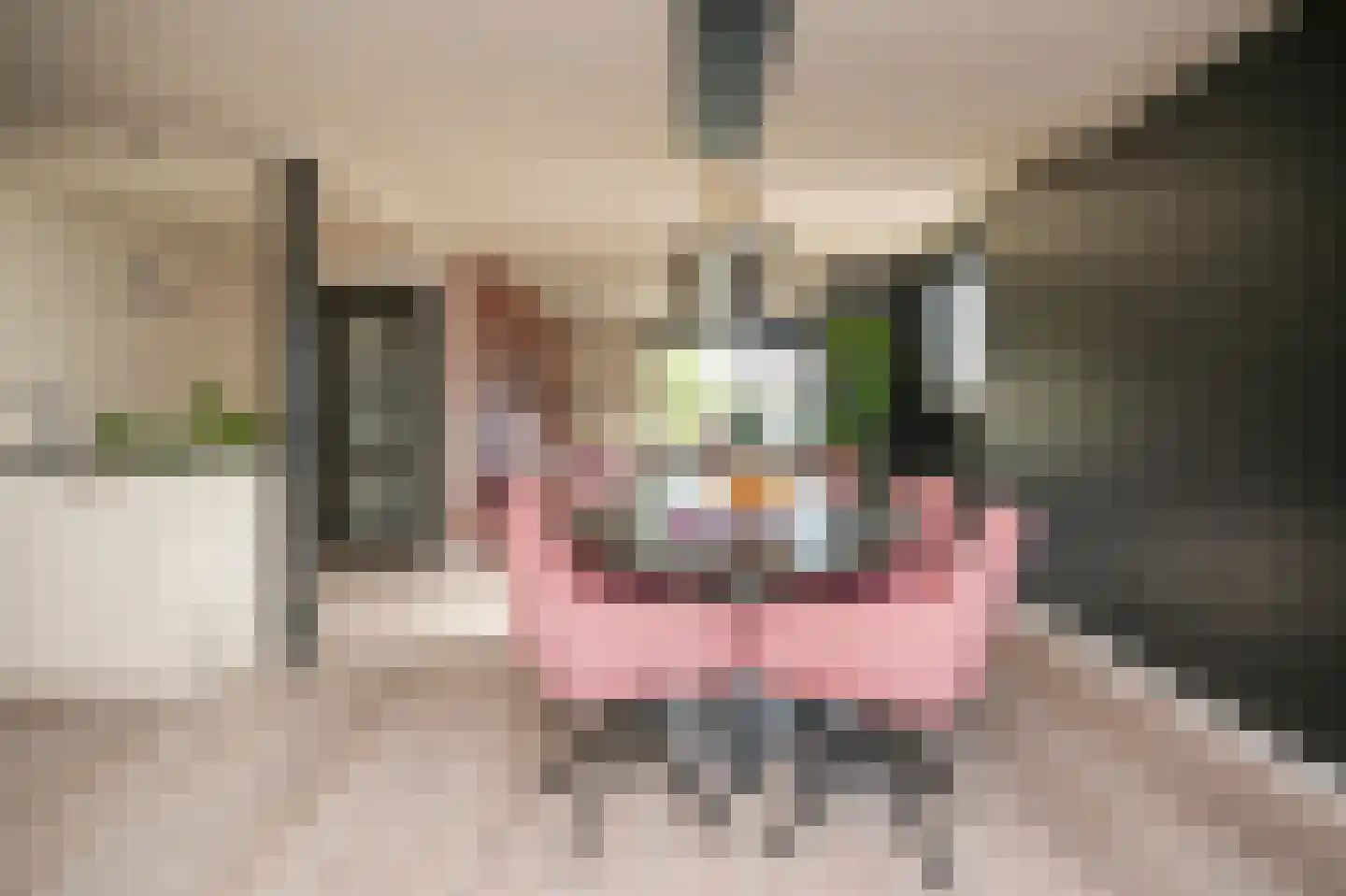 Marijkestraat 22 Druten thumbnail 16