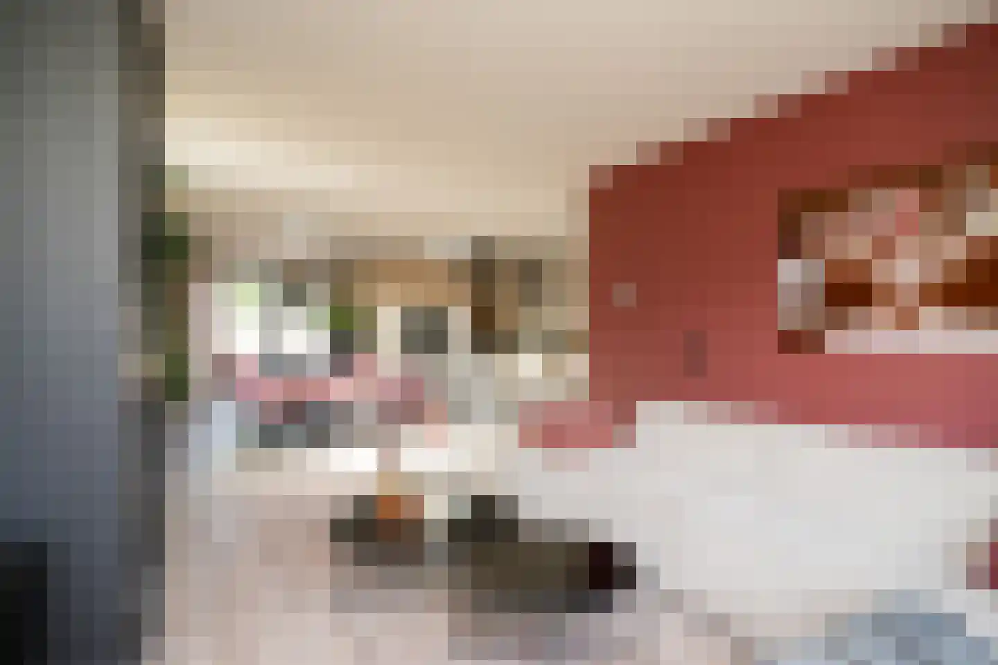 Marijkestraat 22 Druten thumbnail 5