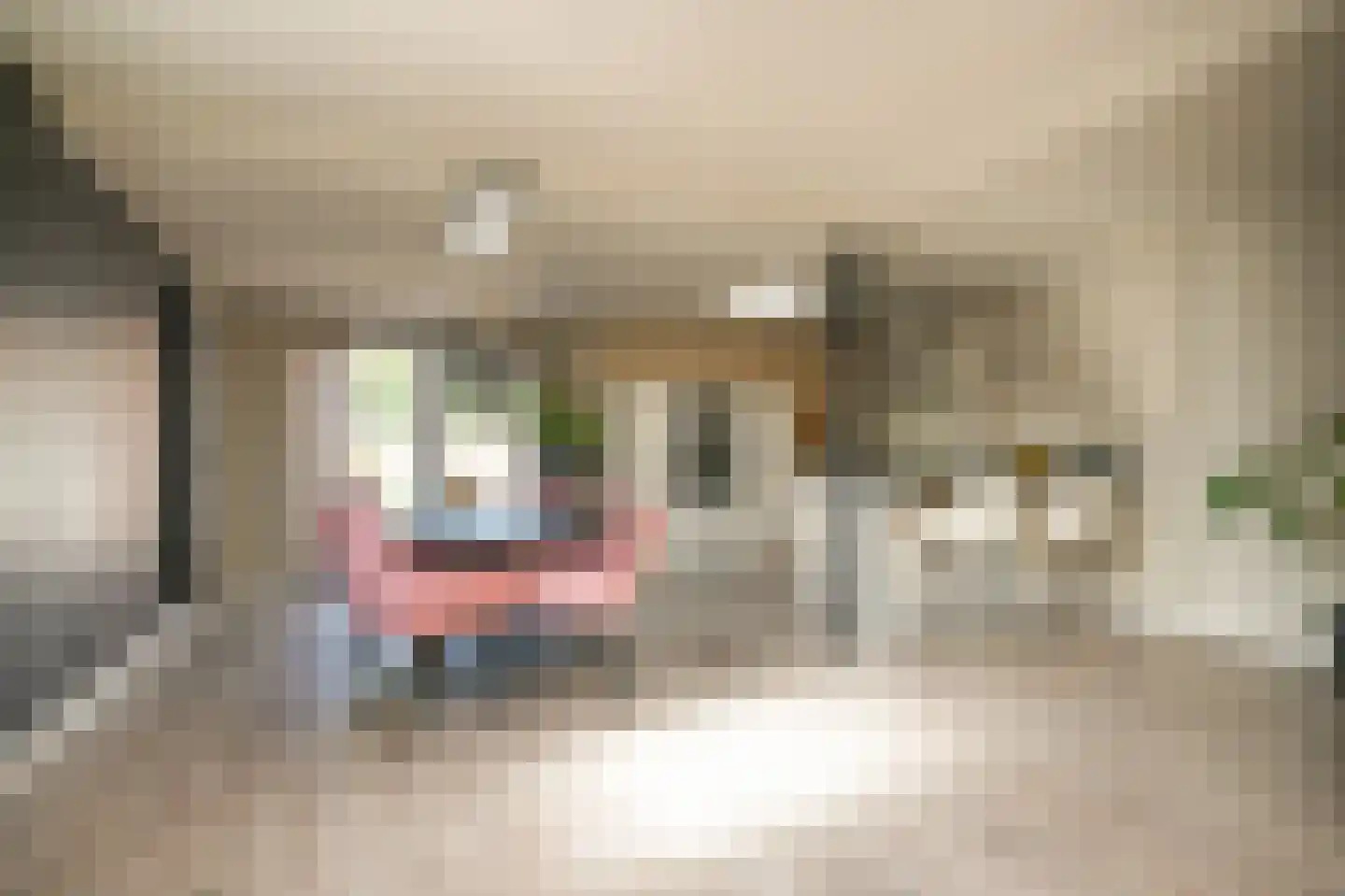Marijkestraat 22 Druten thumbnail 7