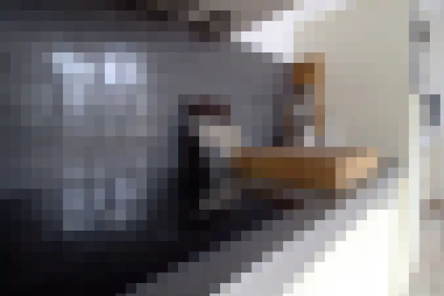 Marijkestraat 23 Goirle thumbnail 14