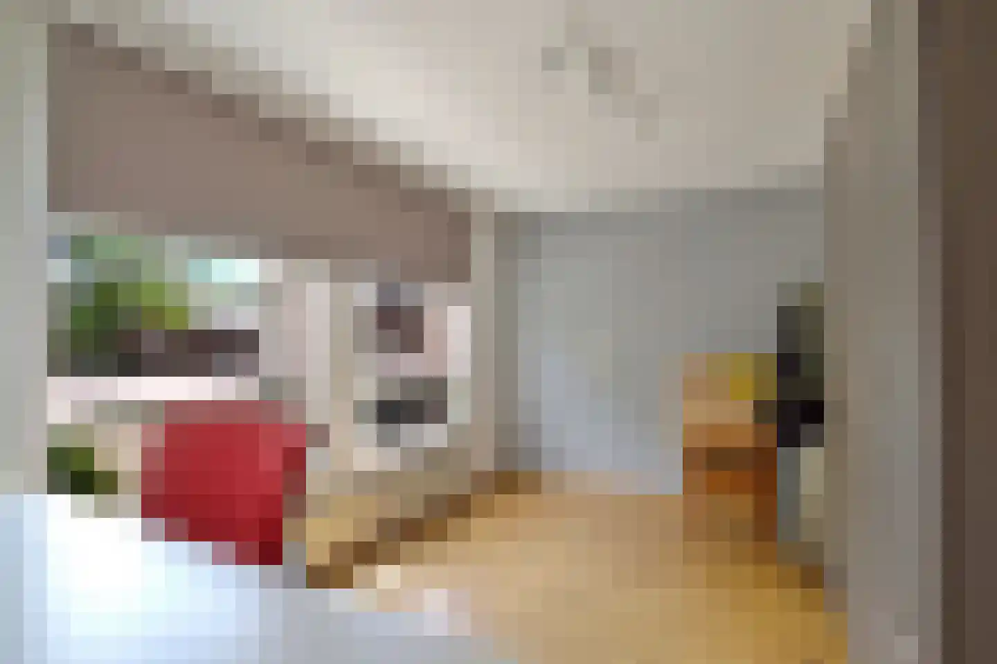 Marijkestraat 23 Goirle thumbnail 18