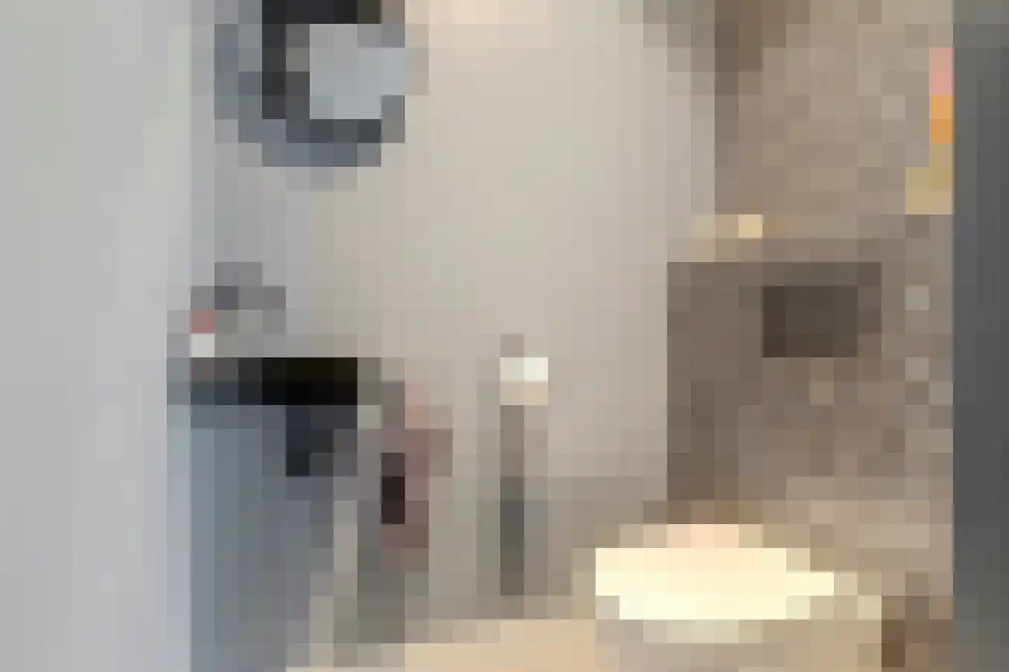 Marijkestraat 24 a Breukelen thumbnail 10