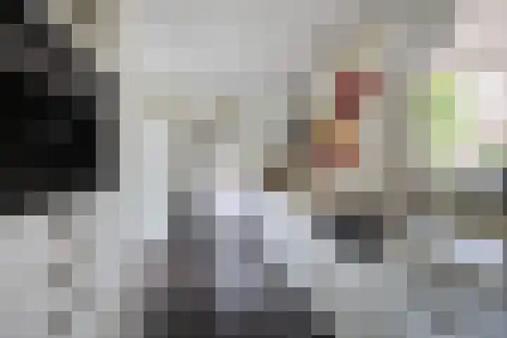 Marijkestraat 24 Bosschenhoofd thumbnail 17