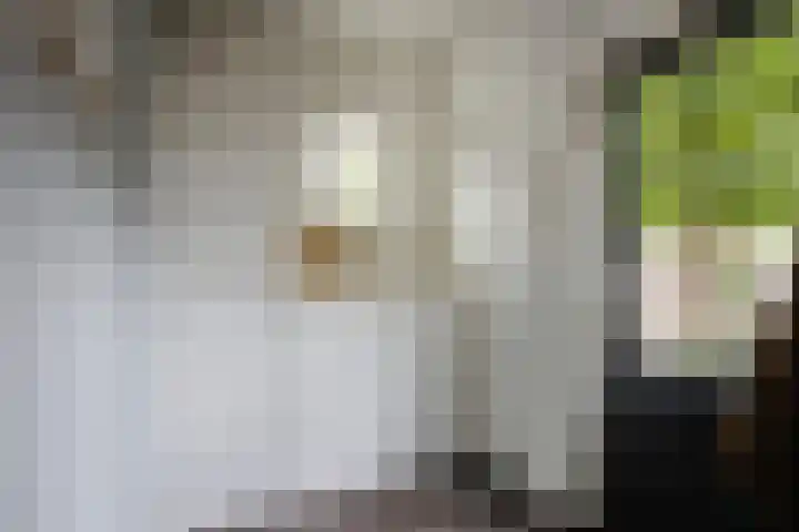 Marijkestraat 24 Bosschenhoofd thumbnail 18