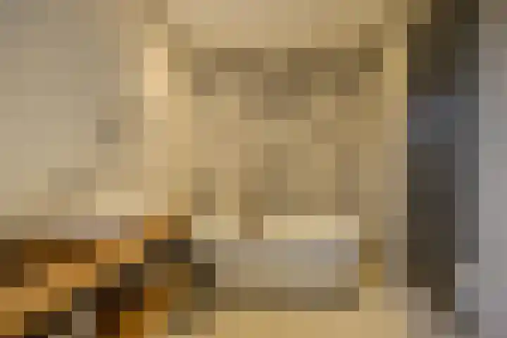 Marijkestraat 24 Bosschenhoofd thumbnail 20