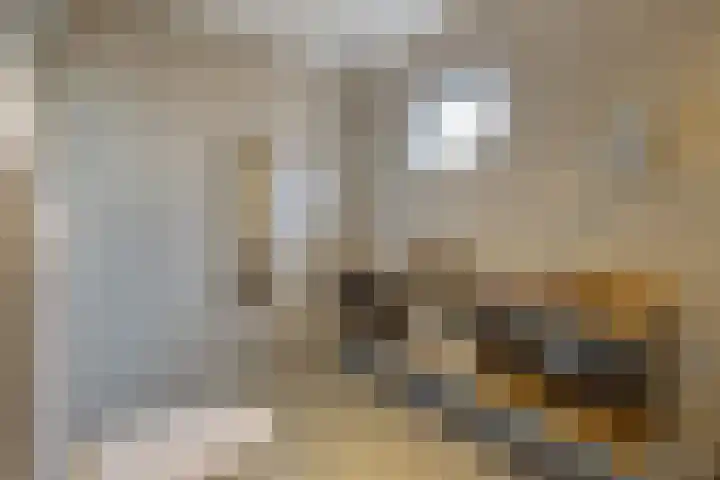 Marijkestraat 24 Bosschenhoofd thumbnail 21