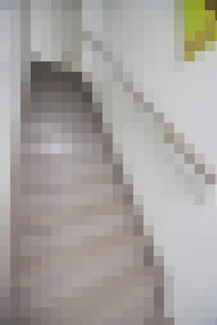 Marijkestraat 24 Bosschenhoofd thumbnail 23
