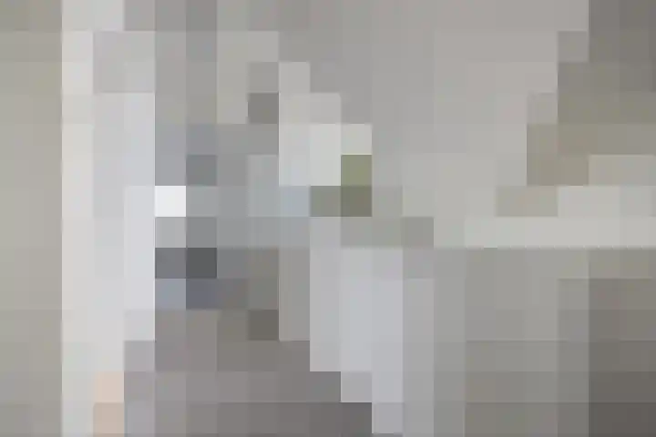 Marijkestraat 24 Bosschenhoofd thumbnail 24