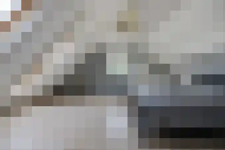 Marijkestraat 24 Bosschenhoofd thumbnail 25