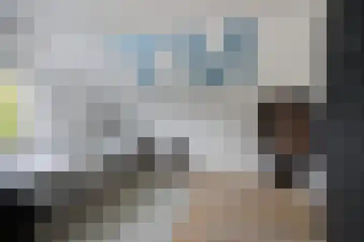Marijkestraat 24 Bosschenhoofd thumbnail 28