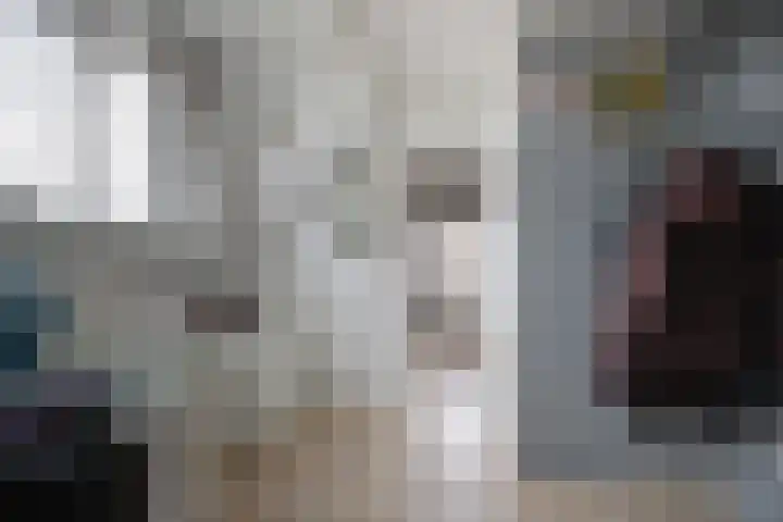 Marijkestraat 24 Bosschenhoofd thumbnail 32