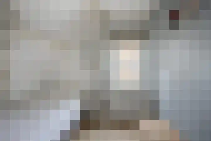 Marijkestraat 24 Bosschenhoofd thumbnail 33