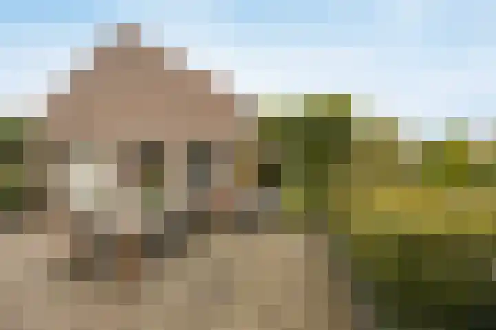 Marijkestraat 24 Bosschenhoofd thumbnail 39