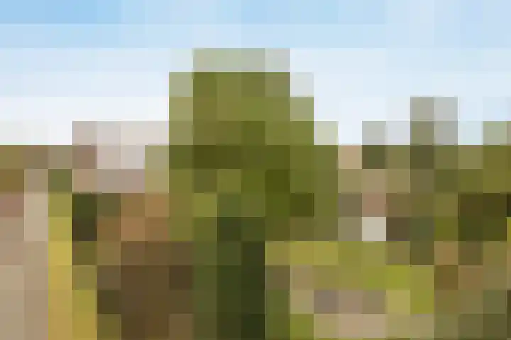 Marijkestraat 24 Bosschenhoofd thumbnail 4