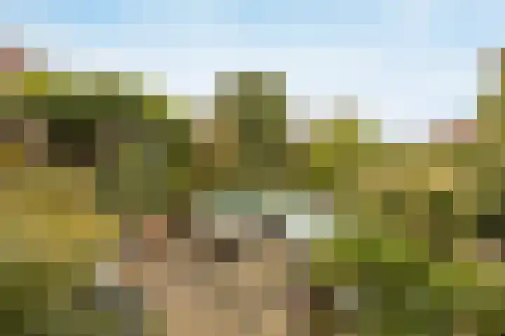 Marijkestraat 24 Bosschenhoofd thumbnail 40