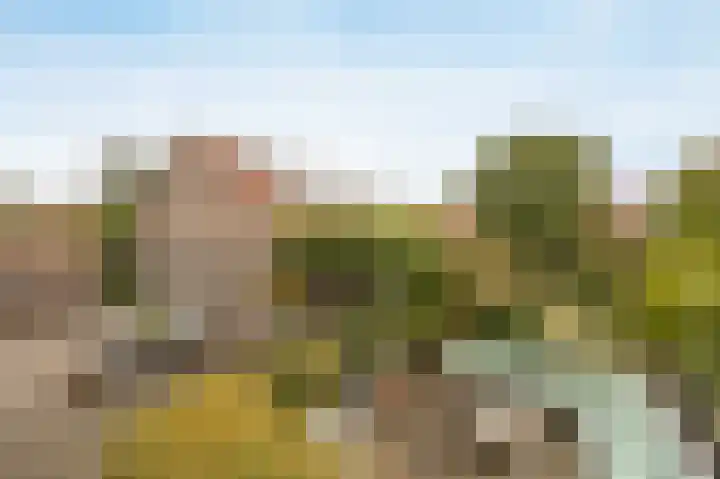 Marijkestraat 24 Bosschenhoofd thumbnail 41