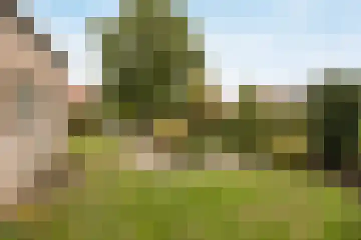 Marijkestraat 24 Bosschenhoofd thumbnail 42