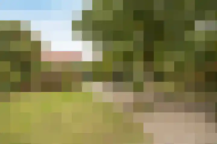 Marijkestraat 24 Bosschenhoofd thumbnail 43