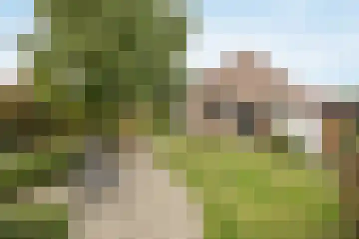 Marijkestraat 24 Bosschenhoofd thumbnail 45