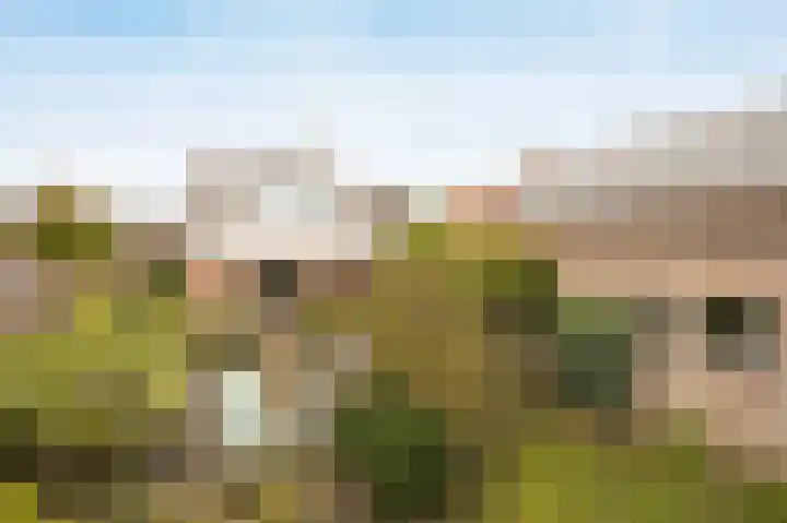 Marijkestraat 24 Bosschenhoofd thumbnail 46