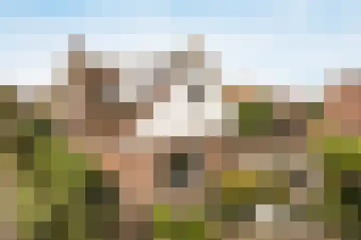 Marijkestraat 24 Bosschenhoofd thumbnail 47