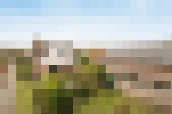 Marijkestraat 24 Bosschenhoofd thumbnail 48
