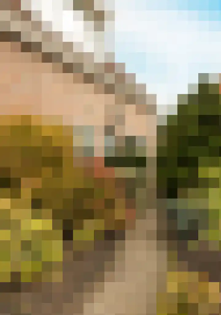 Marijkestraat 24 Bosschenhoofd thumbnail 5