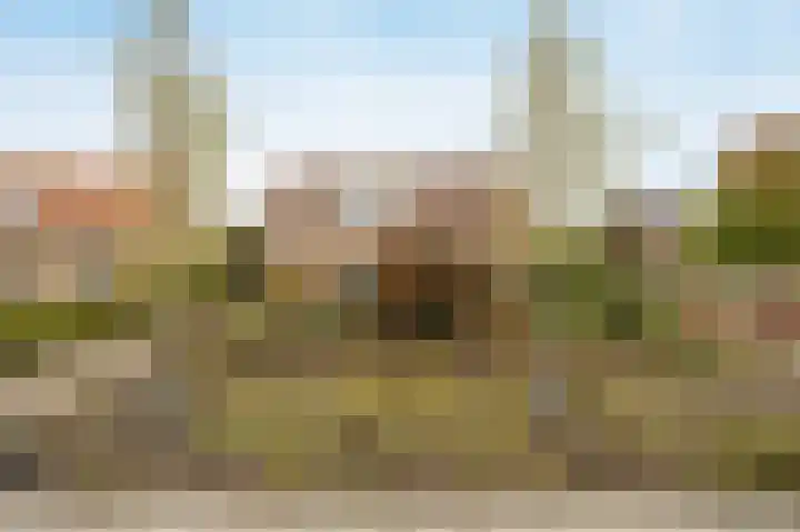Marijkestraat 24 Bosschenhoofd thumbnail 50