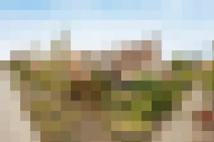 Marijkestraat 24 Bosschenhoofd thumbnail 51
