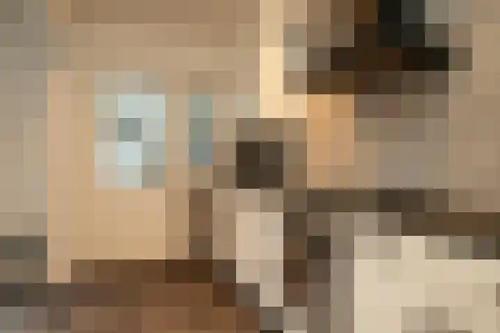 Marijkestraat 25 Zwartsluis thumbnail 14