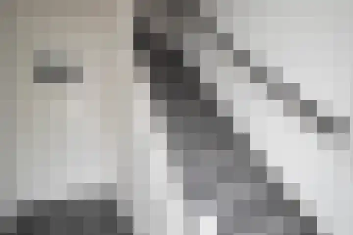 Marijkestraat 25 Zwartsluis thumbnail 31