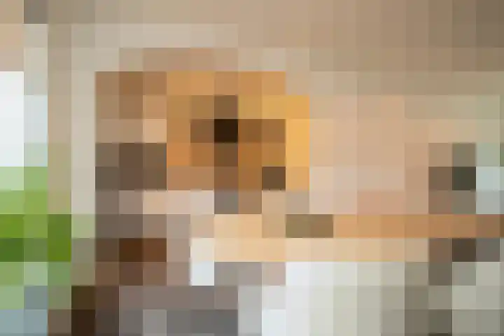 Marijkestraat 25 Zwartsluis thumbnail 4
