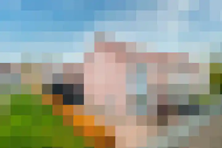 Marijkestraat 25 Zwartsluis thumbnail 7