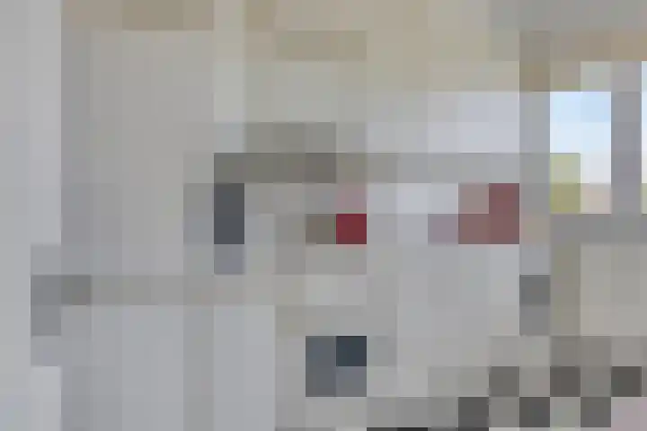 Marijkestraat 27 Beek thumbnail 17