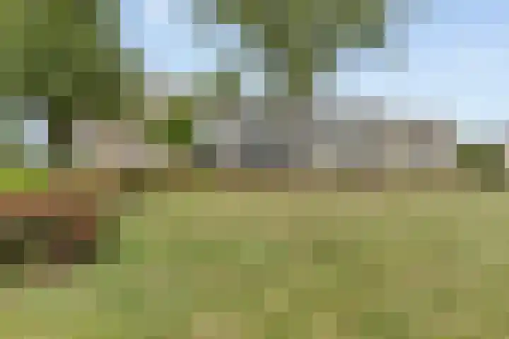 Marijkestraat 27 Beek thumbnail 31