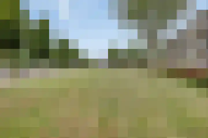 Marijkestraat 27 Beek thumbnail 33