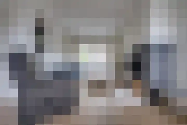 Marijkestraat 27 Rijen thumbnail 11