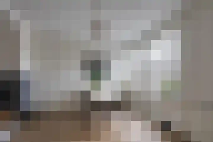 Marijkestraat 27 Rijen thumbnail 17