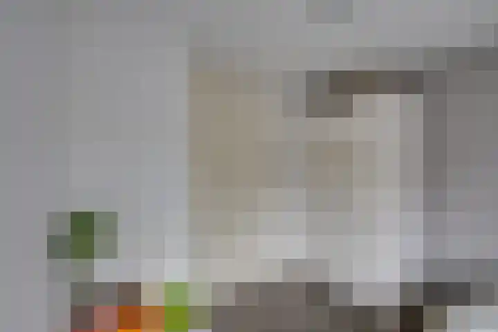 Marijkestraat 27 Rijen thumbnail 39
