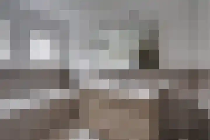 Marijkestraat 27 Rijen thumbnail 4