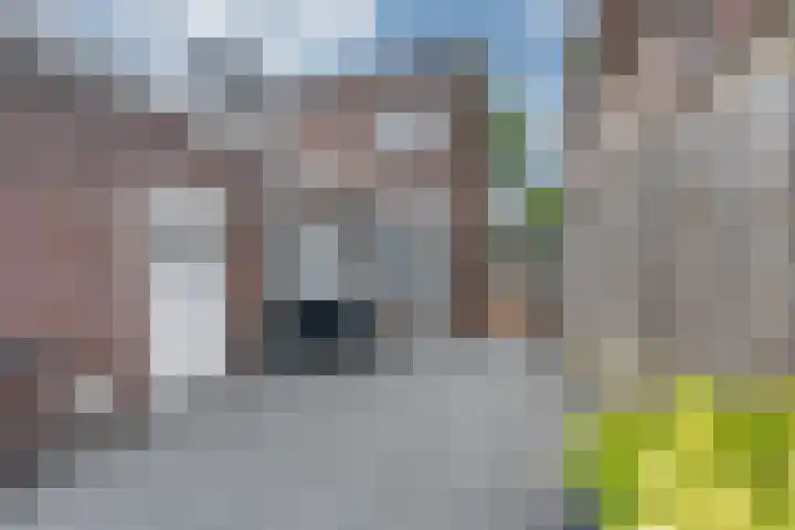 Marijkestraat 27 Rijen thumbnail 47