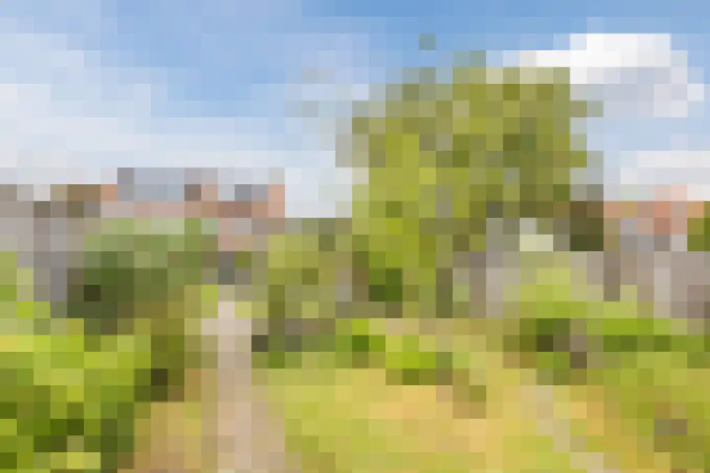 Marijkestraat 28 Rijen thumbnail 20