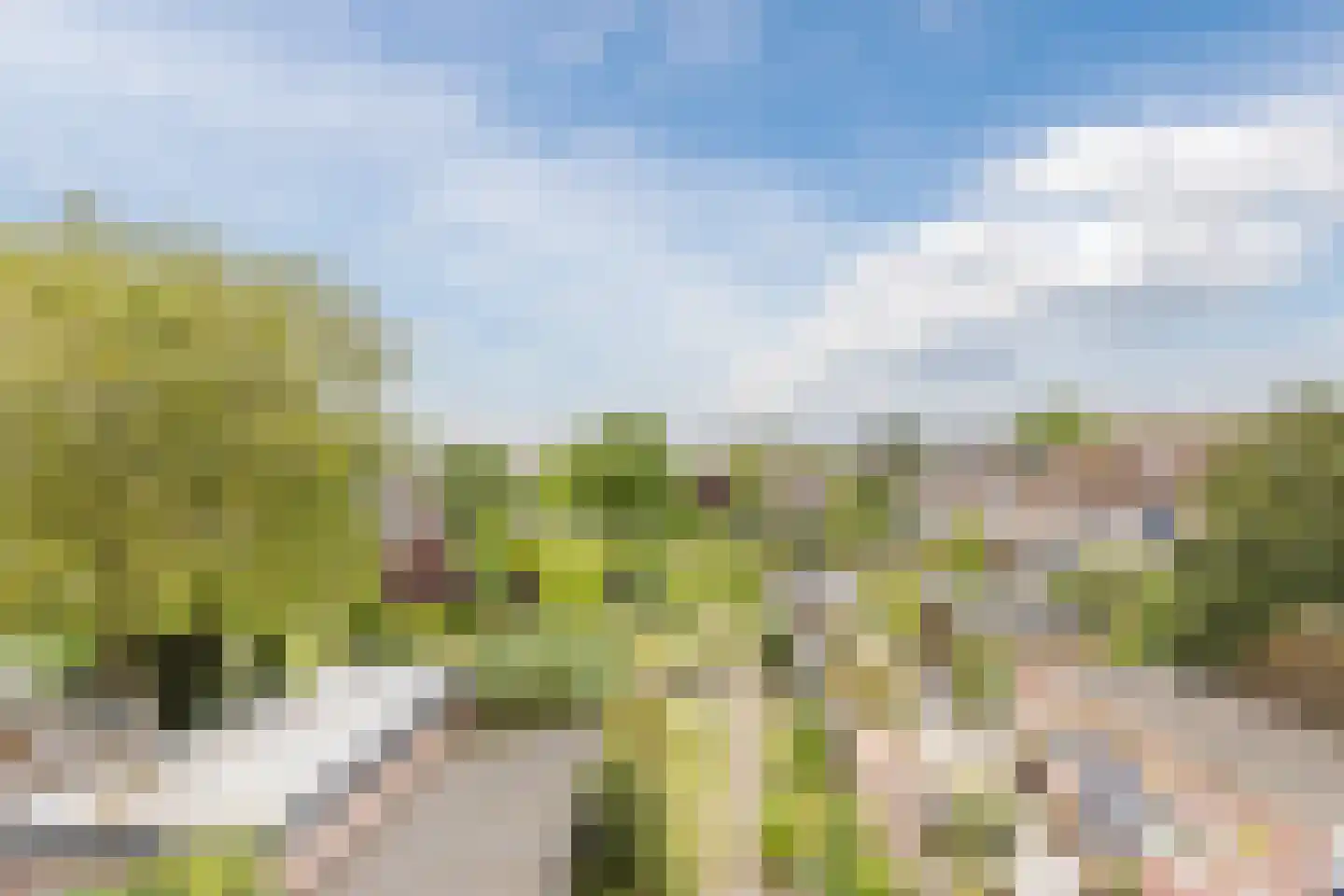 Marijkestraat 28 Rijen thumbnail 27