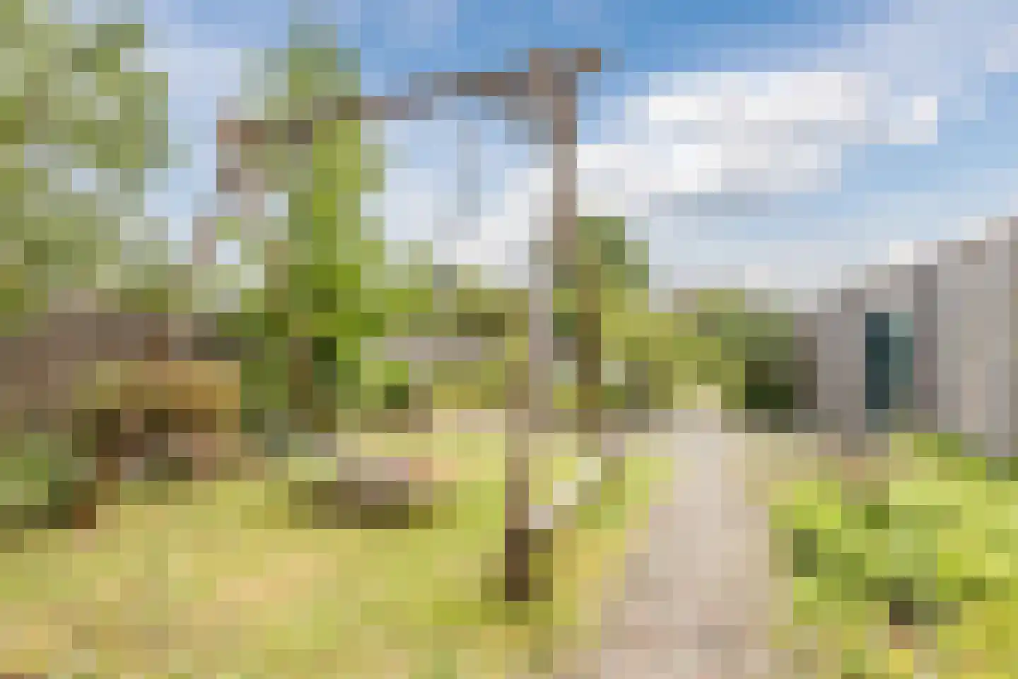 Marijkestraat 28 Rijen thumbnail 28