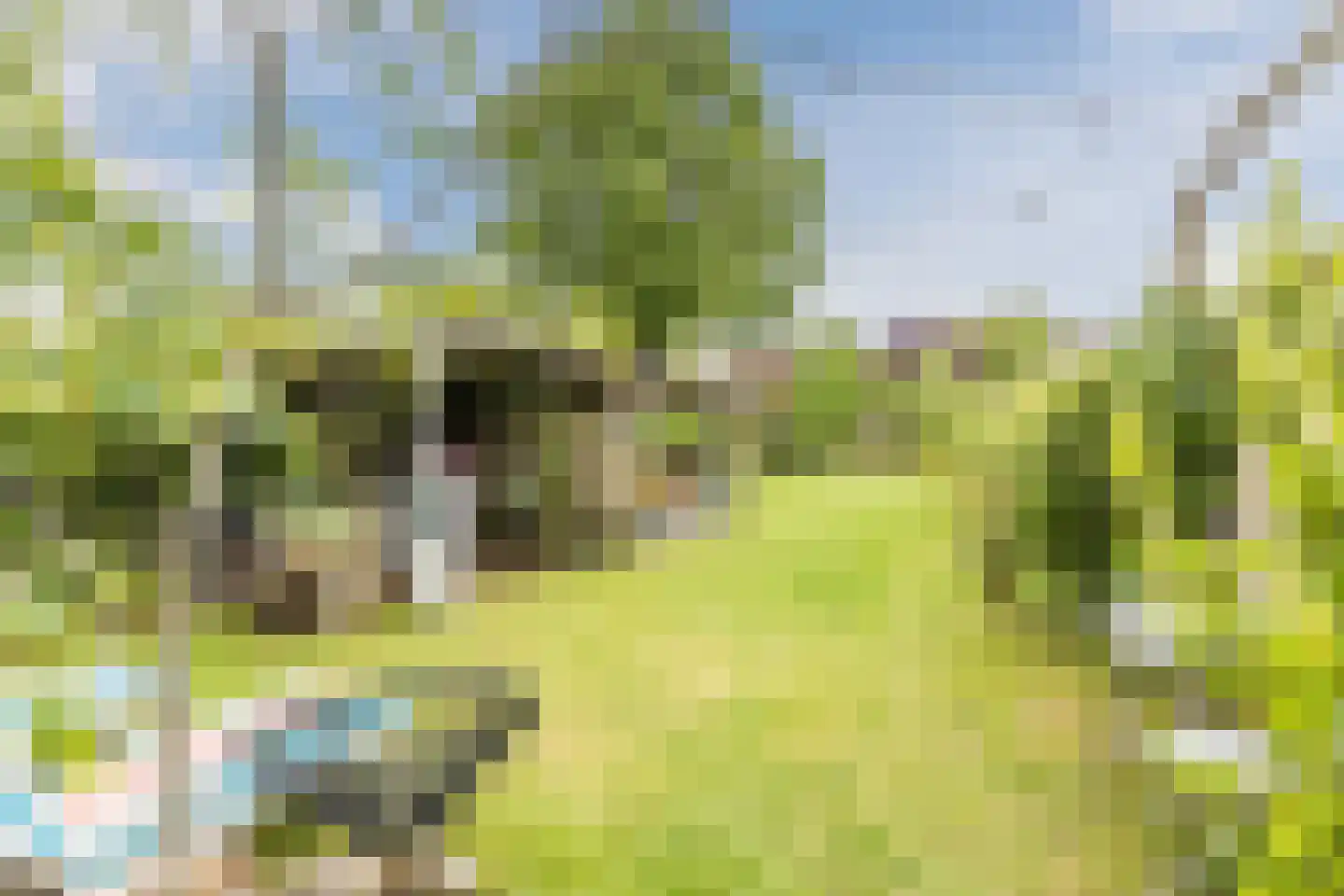 Marijkestraat 28 Rijen thumbnail 4