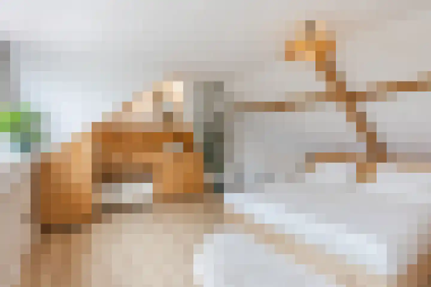 Marijkestraat 28 Rijen thumbnail 5