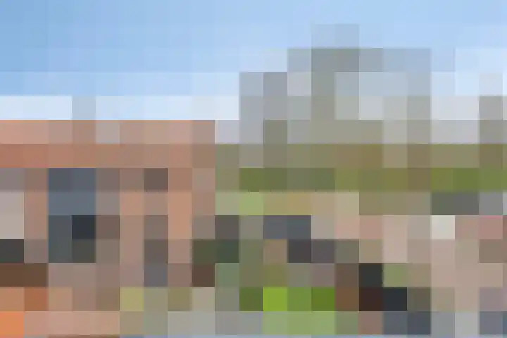 Marijkestraat 28 Terneuzen thumbnail 21